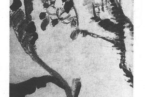 芭蕉栀子花