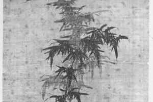 墨竹图
