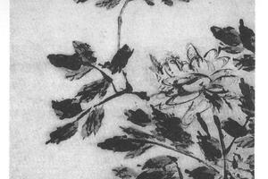 指画牡丹