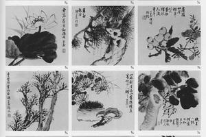 花卉杂画册