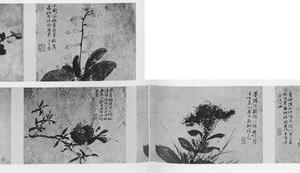 花卉图卷(附华山摸本)