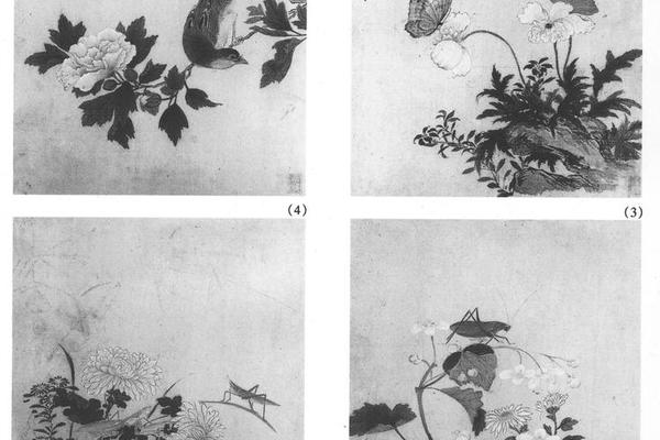 花乌八开