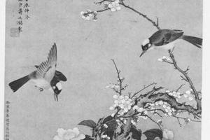 梅花白头图