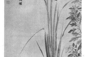 蒲蝶图