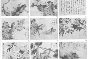 花卉图册