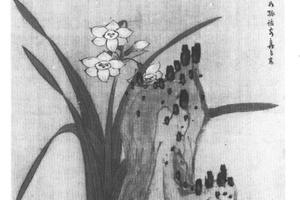 水仙灵石图