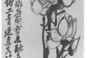 玉兰