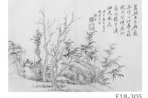 枯木竹石图册页
