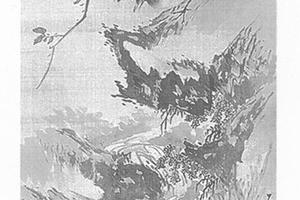 花鸟图