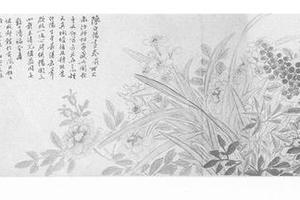 临陈淳花卉图卷