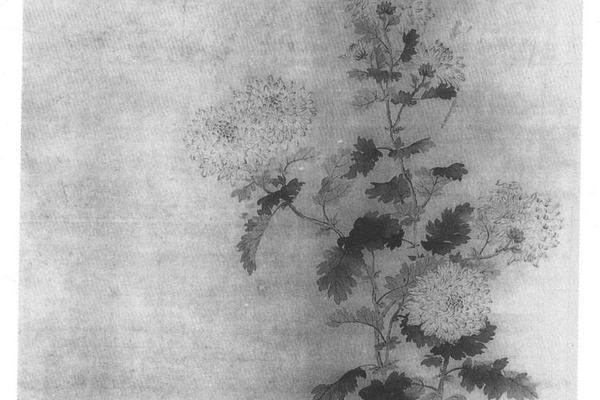 菊花