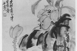 荷花图