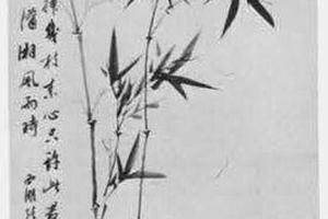 竹石图