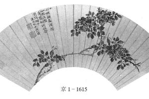 蔷薇花