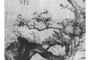 牡丹玉兰图