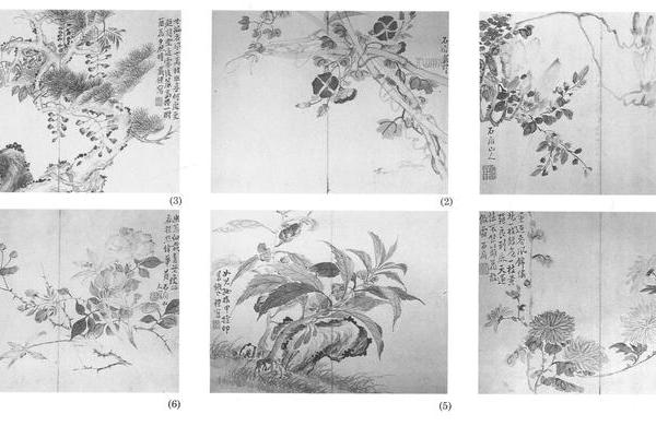 花卉十二开