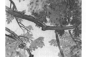 紫藤鹦鹉图