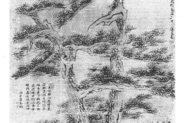 双松寿石图