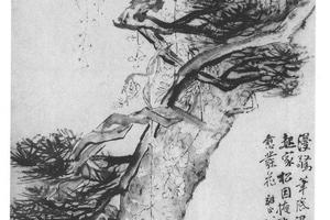 松藤图