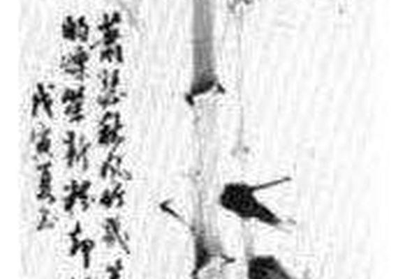 墨竹图