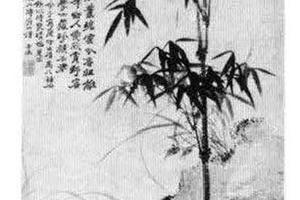 竹石图