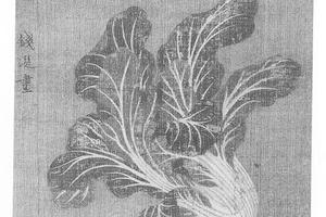 白菜图