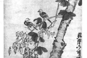 梧桐白头图