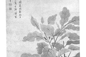 仿徐熙没骨菜蔬图
