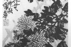 菊石图
