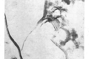 猫石图
