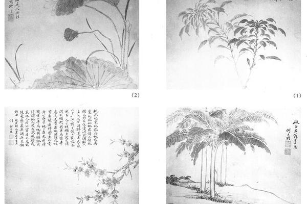 山水花卉八开