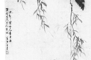 芙蓉八哥图轴