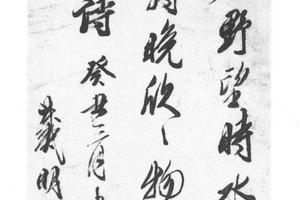 行书杜甫江亭诗