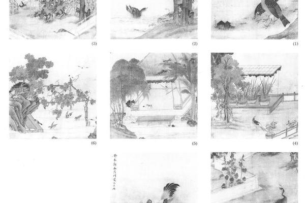 杂画四条