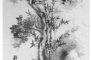 古木竹石图