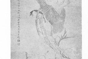 荷花图