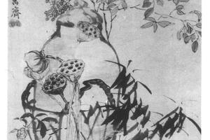 莲竹果实图