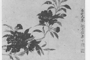 凤仙花图
