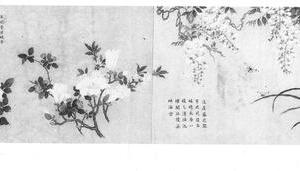 花蝶图