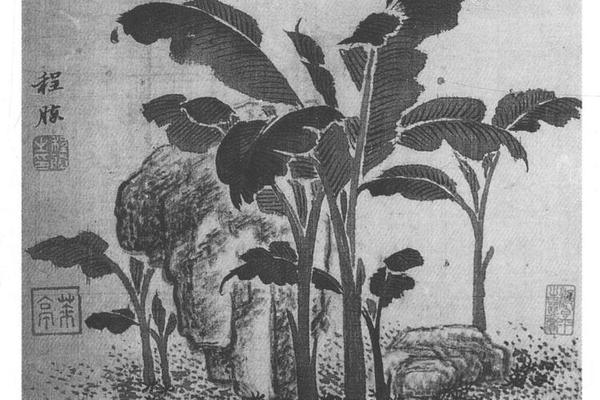 蕉石图