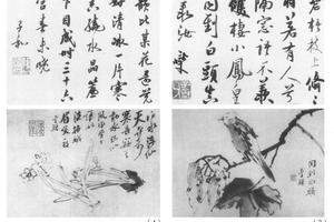 拥毛花果图六开