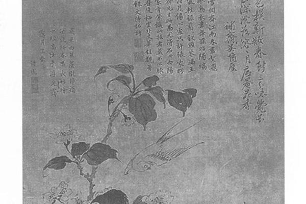 花鸟图