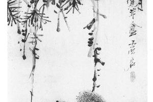 松鼠轴