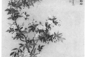 春花图