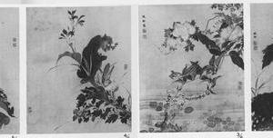 花卉图册