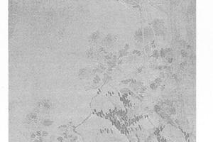 菊竹石图