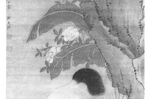 蕉荫猫蝶图