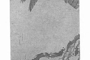 墨鹰图