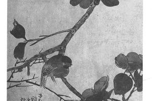 茶花山鸟