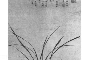 兰花图
